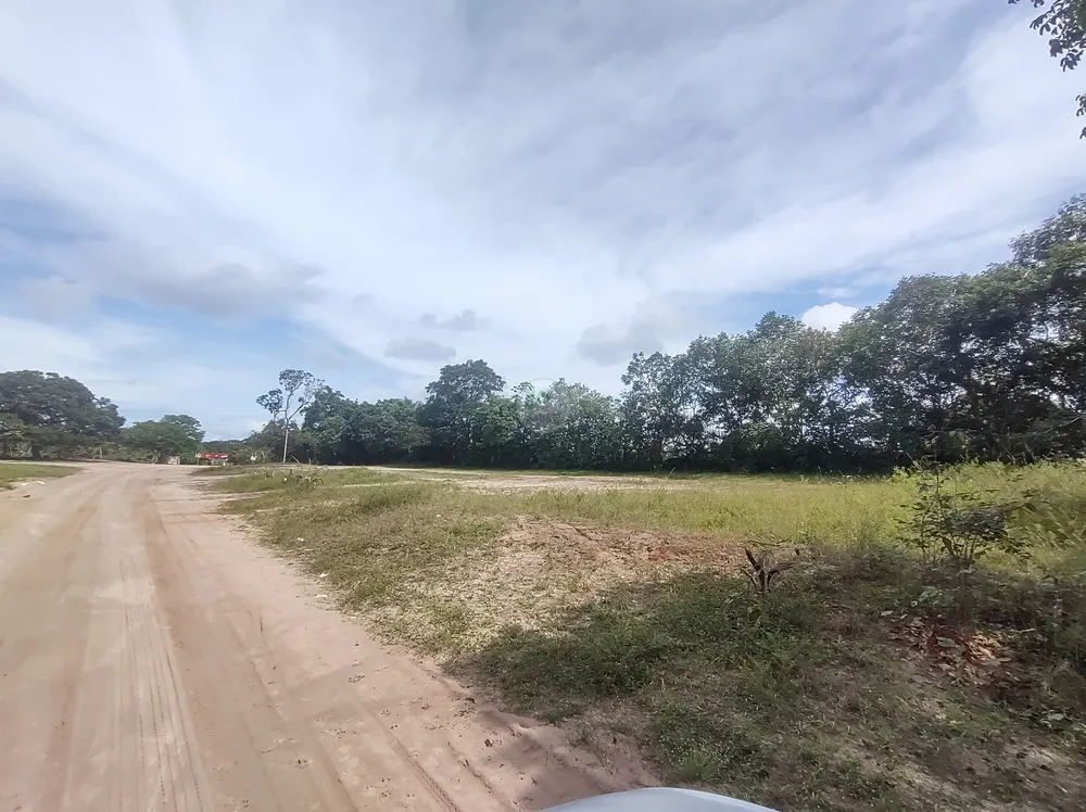Terreno, 3 hectares - Foto 6