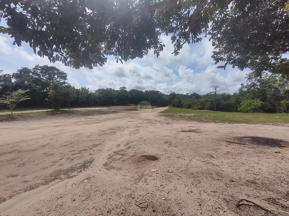 Terreno, 3 hectares - Foto 6