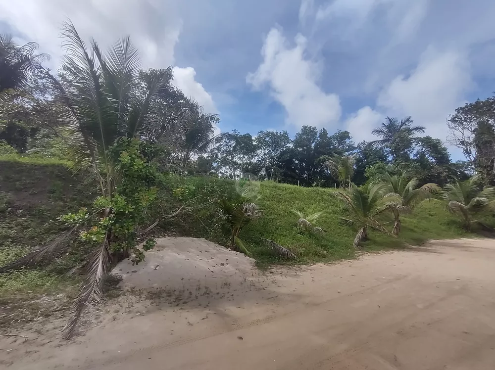 Terreno, 3 hectares - Foto 17