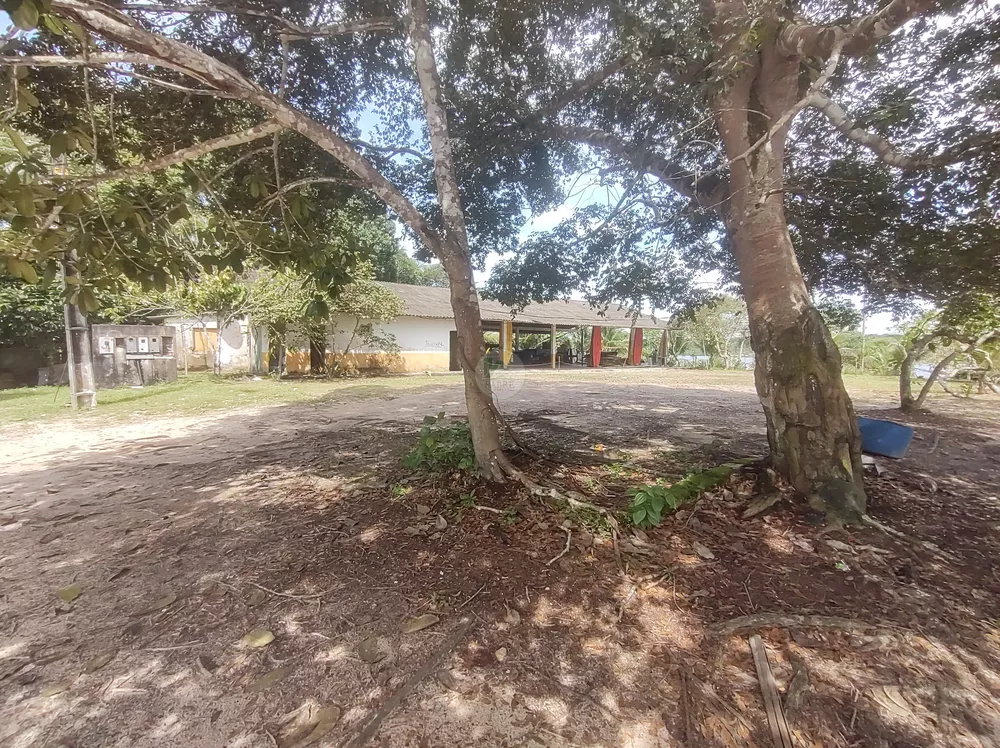 Terreno, 3 hectares - Foto 8