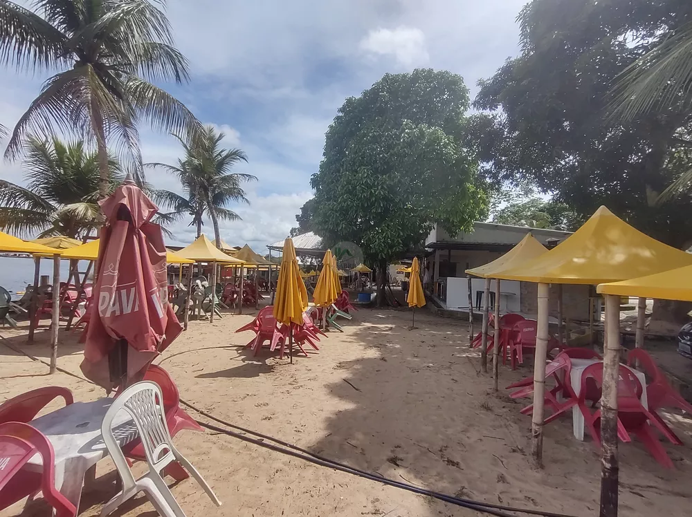 Terreno, 3 hectares - Foto 23