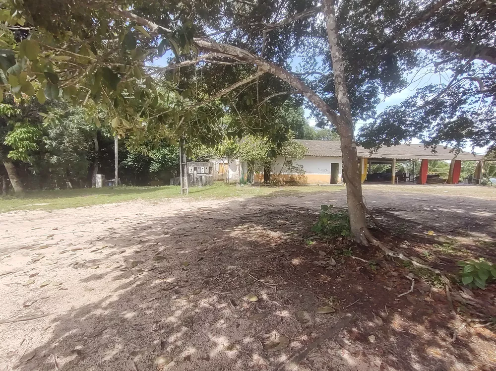 Terreno, 3 hectares - Foto 11