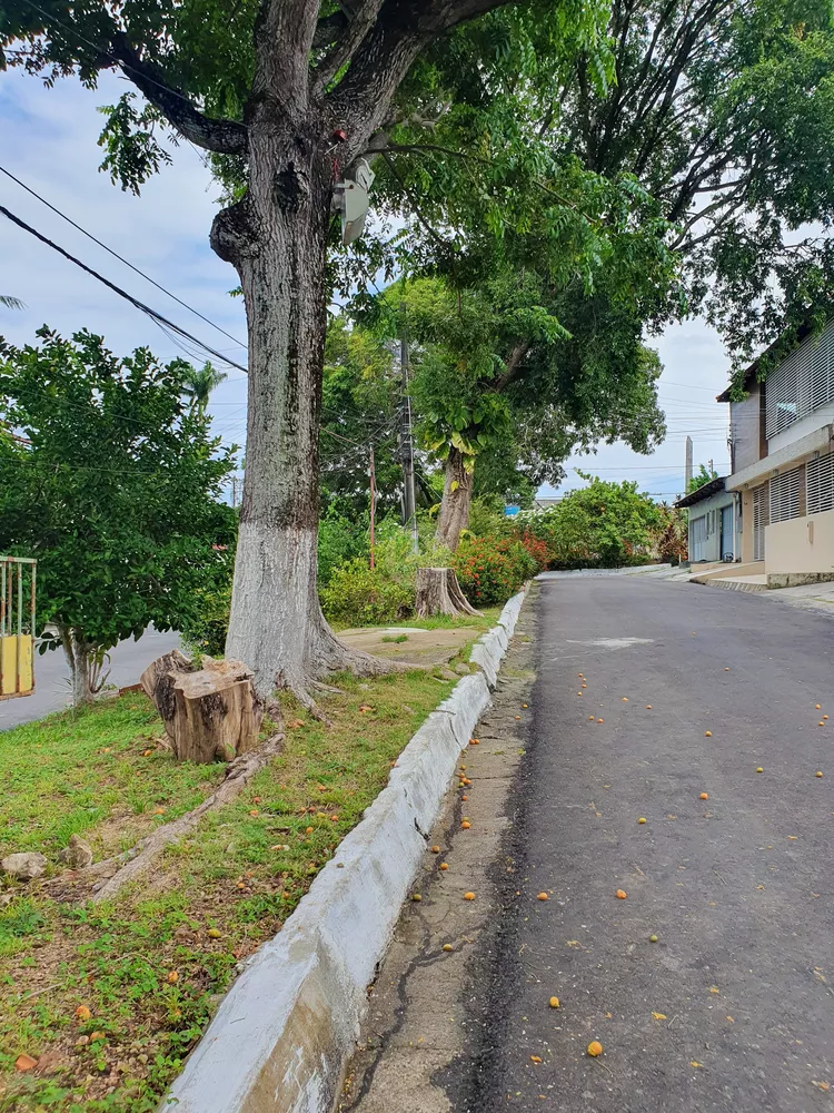 Casa, 3 quartos, 219 m² - Foto 13