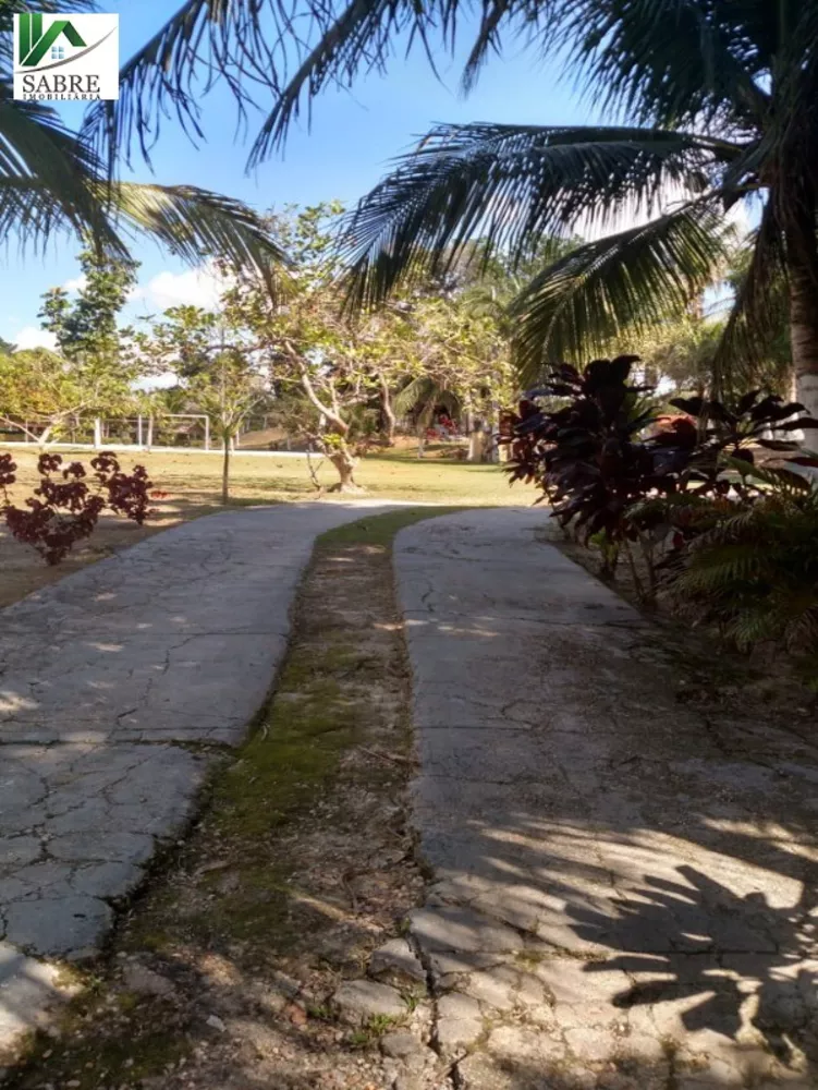Sítio, 5 quartos, 20 hectares - Foto 4