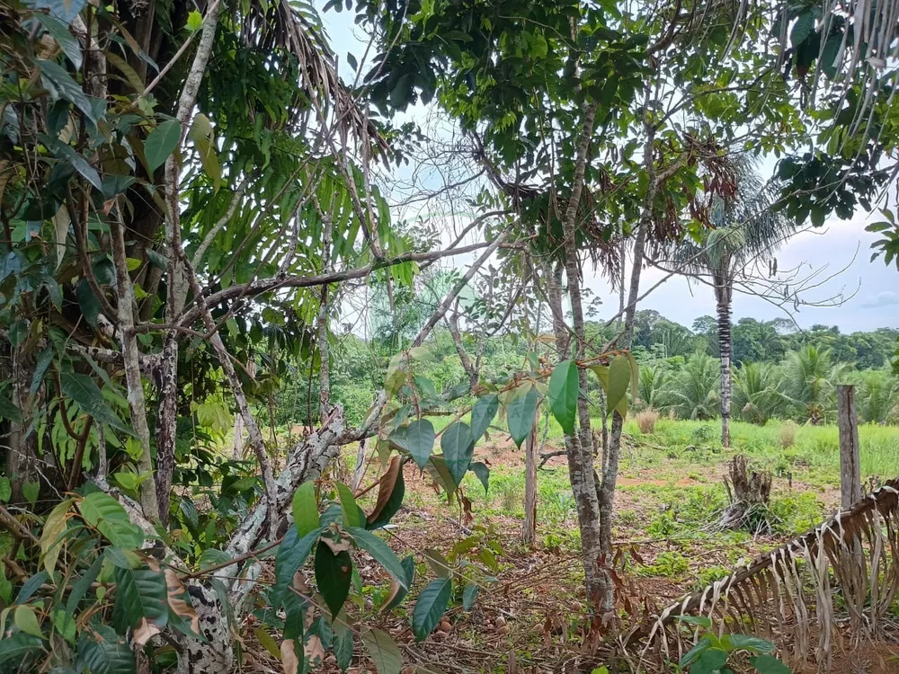 Terreno, 10 hectares - Foto 11