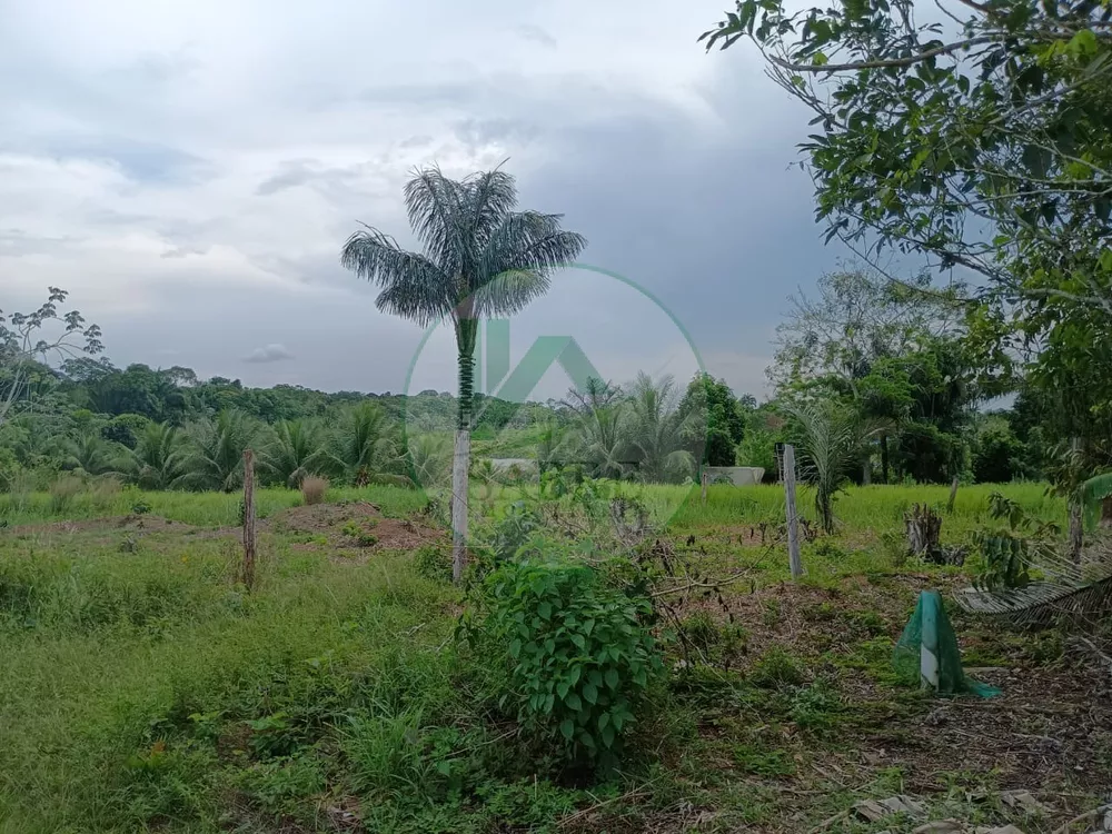 Terreno, 10 hectares - Foto 12