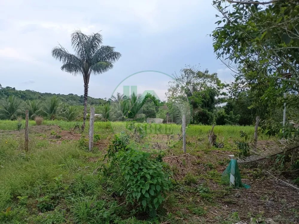 Terreno, 10 hectares - Foto 10