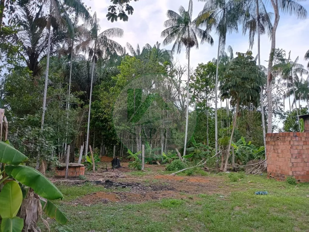 Terreno, 10 hectares - Foto 6