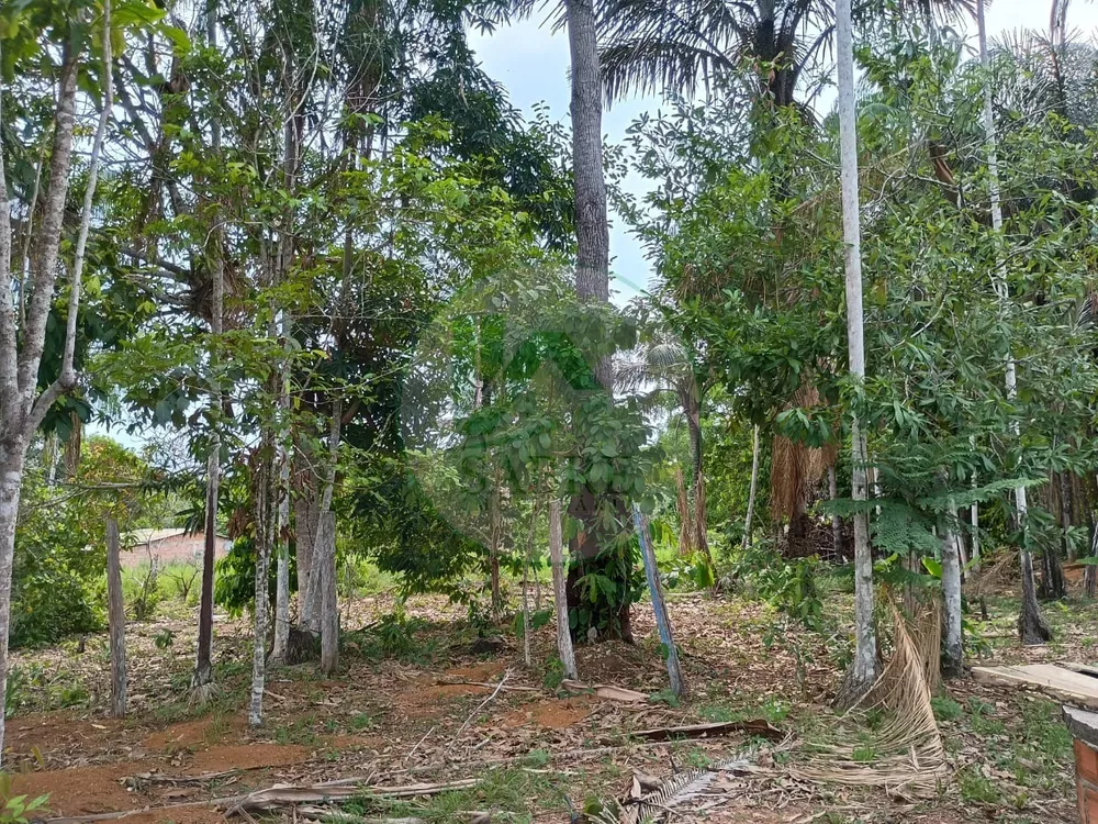 Terreno, 10 hectares - Foto 14