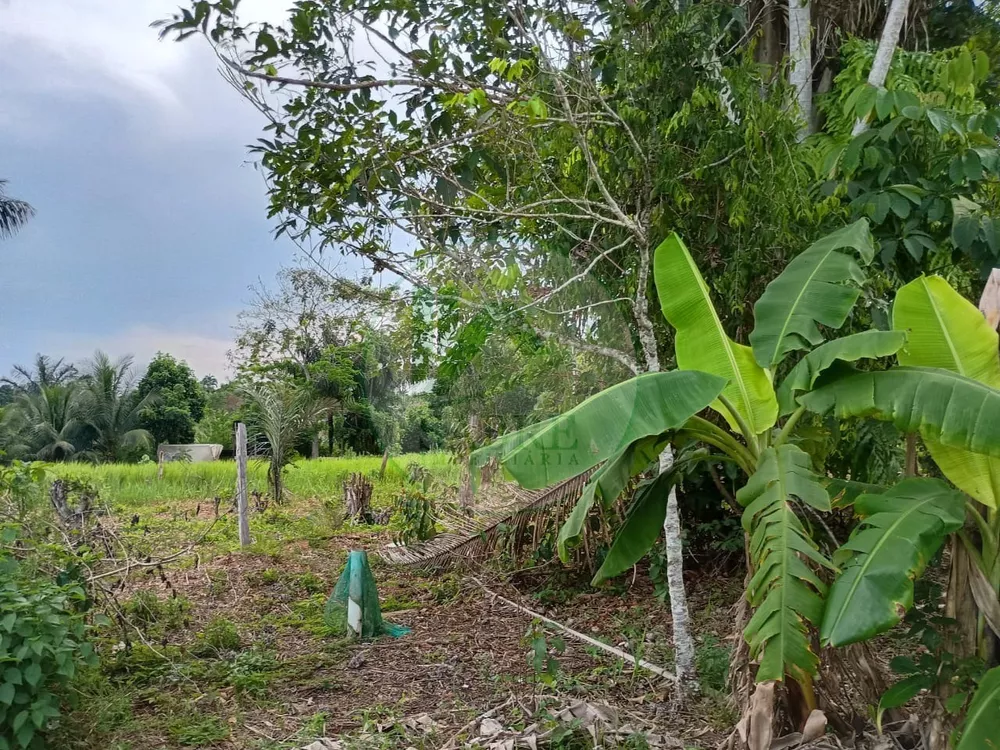 Terreno, 10 hectares - Foto 9