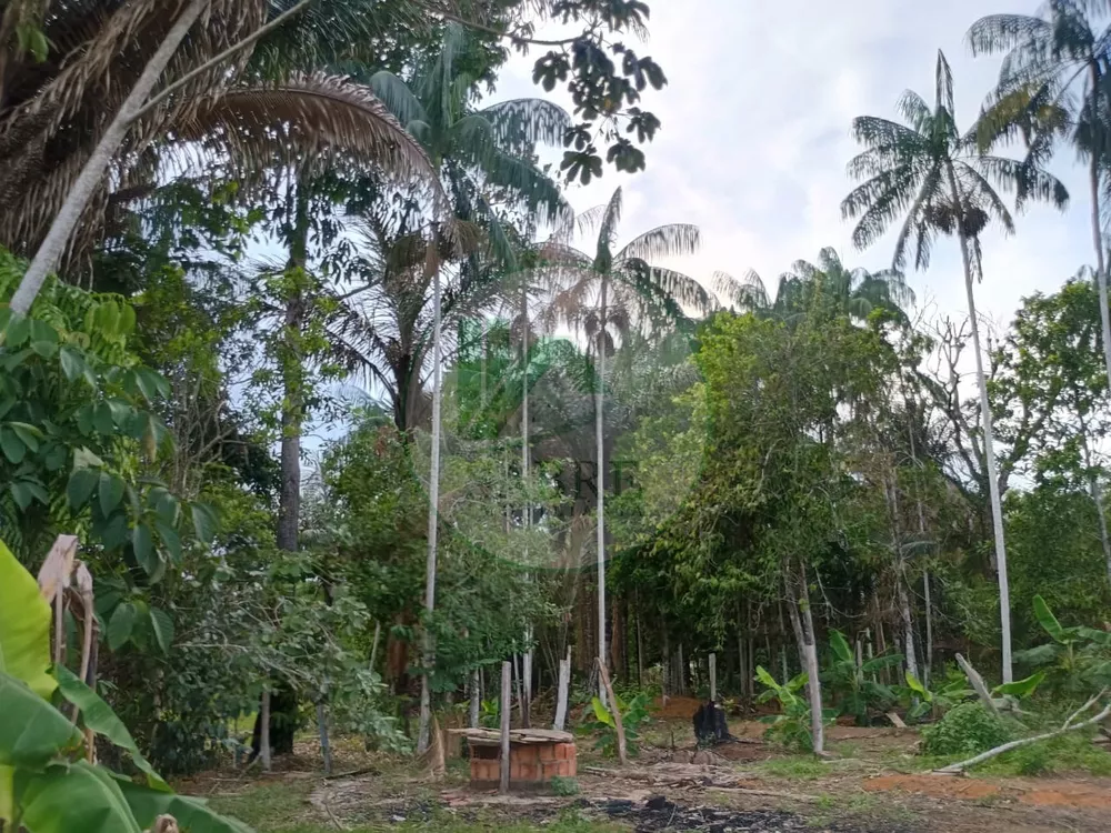 Terreno, 10 hectares - Foto 13