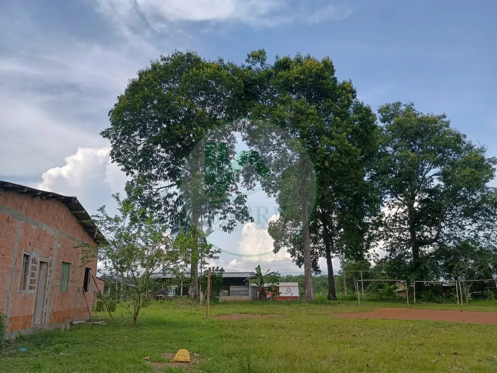 Terreno, 10 hectares - Foto 7