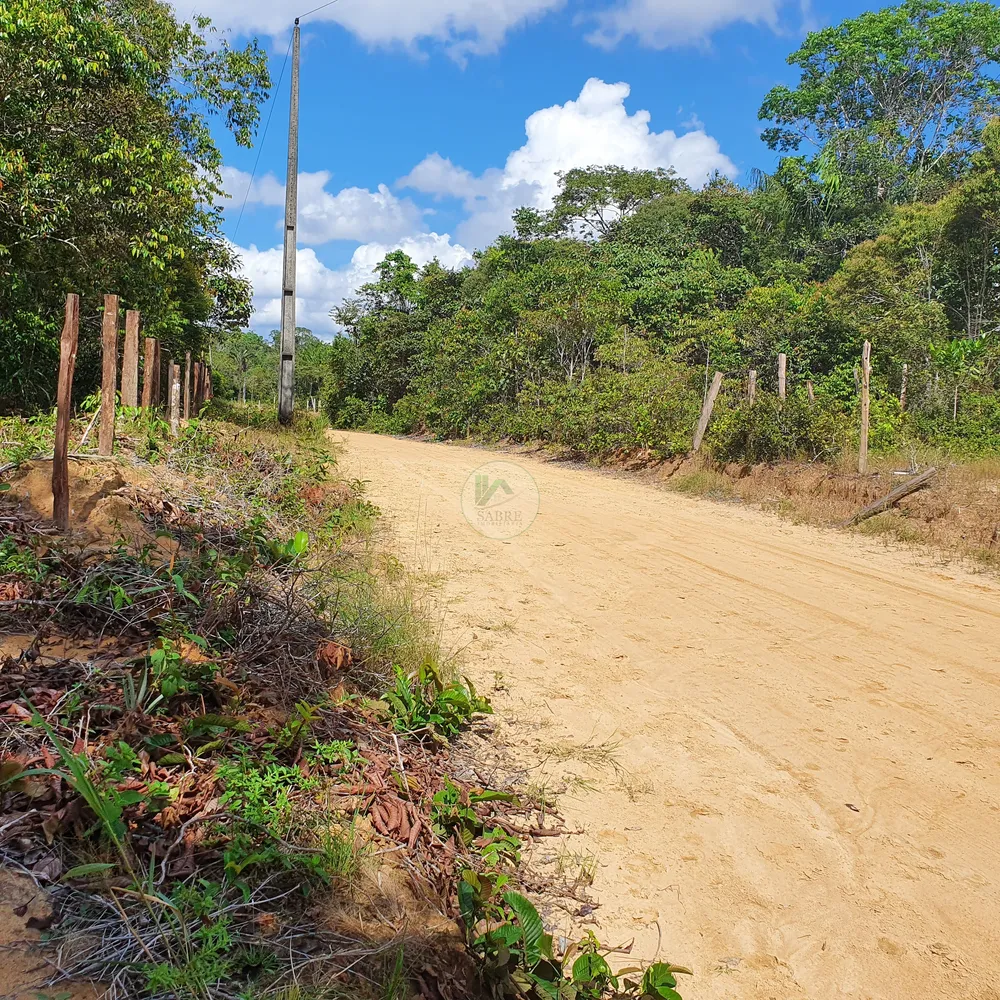 Terreno, 12 hectares - Foto 8