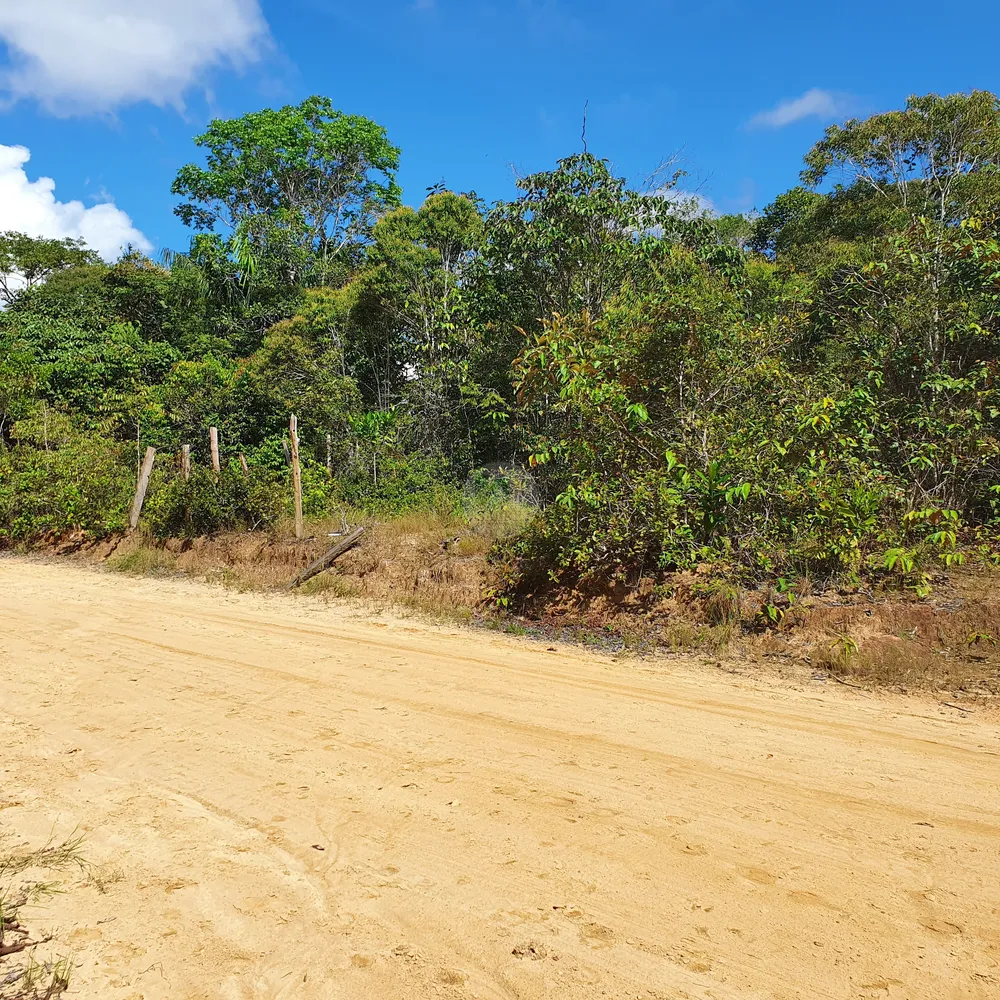 Terreno, 12 hectares - Foto 9