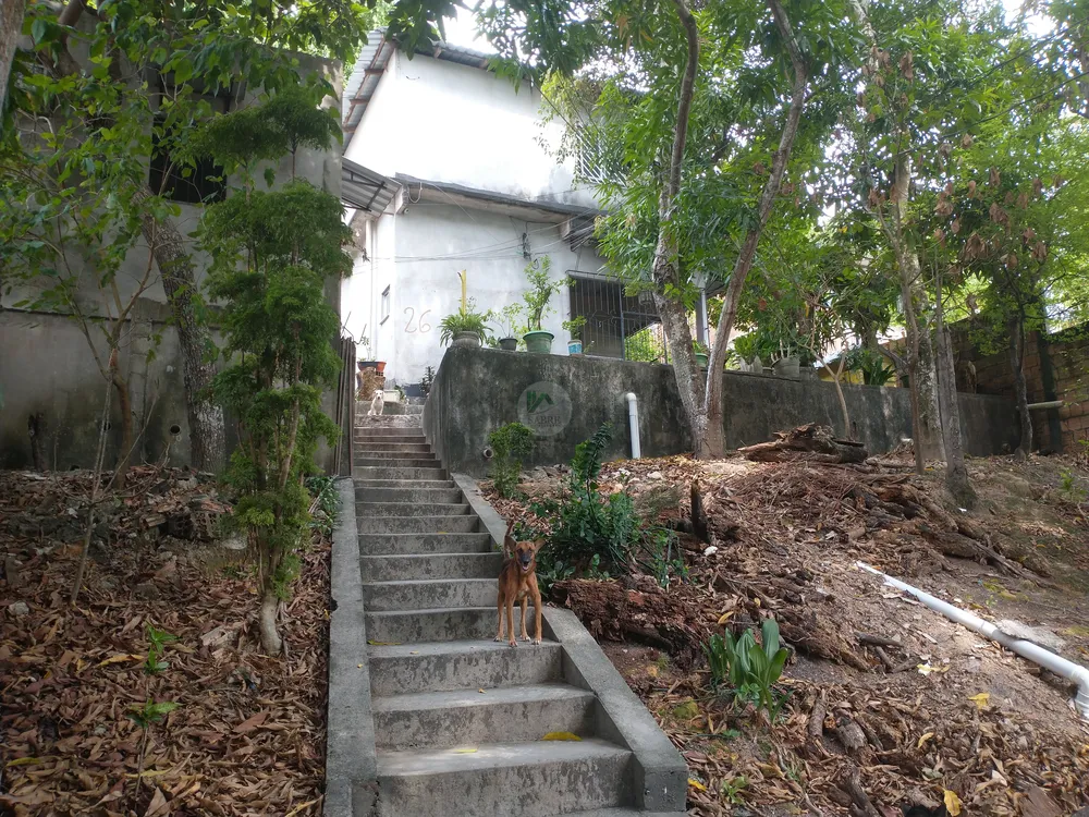 Casa, 3 quartos, 193 m² - Foto 14