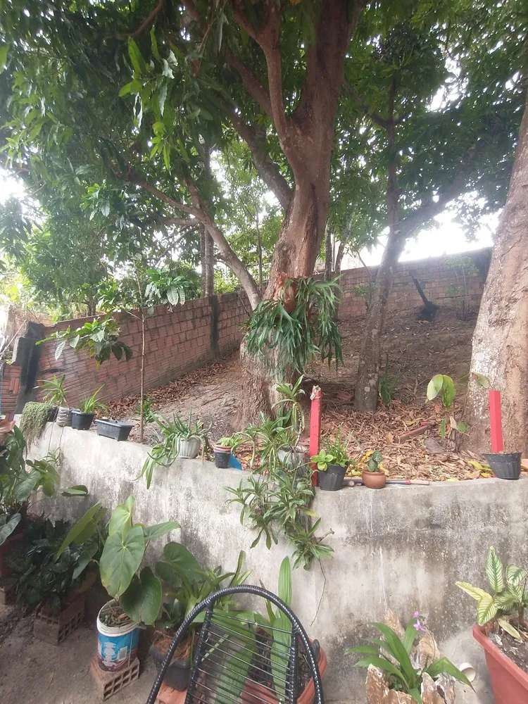 Casa, 3 quartos, 193 m² - Foto 13