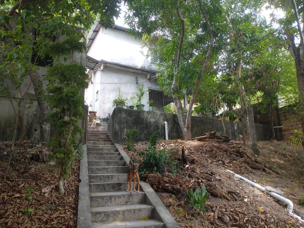 Casa, 3 quartos, 193 m² - Foto 15