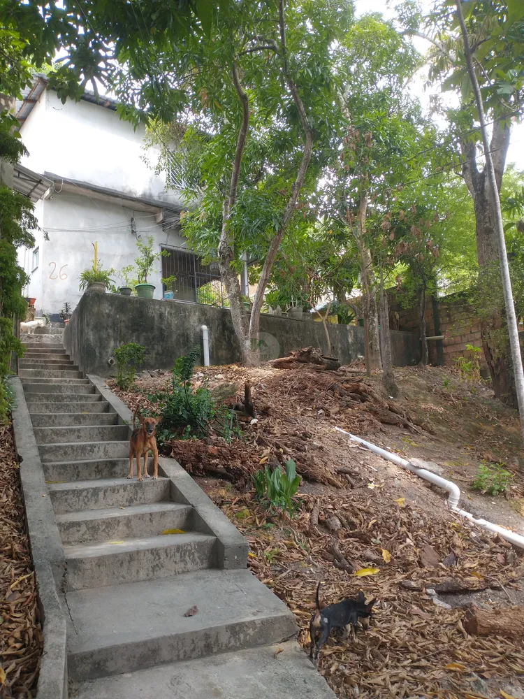 Casa, 3 quartos, 193 m² - Foto 16