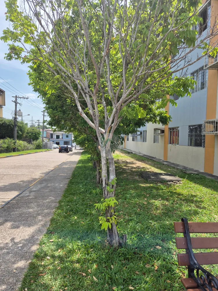 Apartamento, 3 quartos, 60 m² - Foto 20