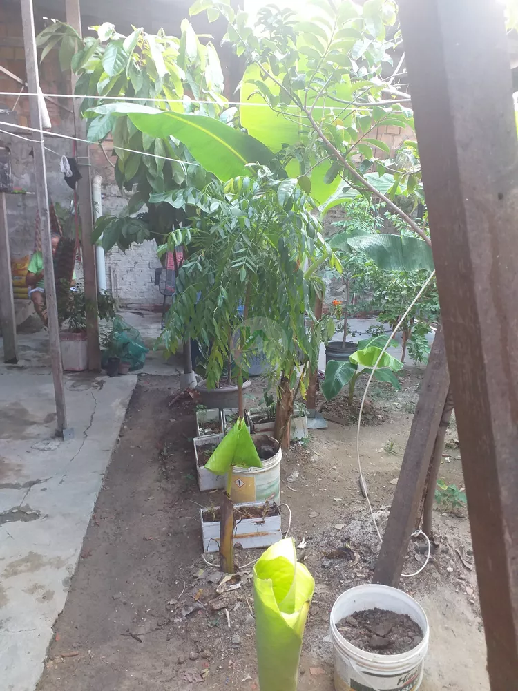 Casa, 3 quartos, 100 m² - Foto 11
