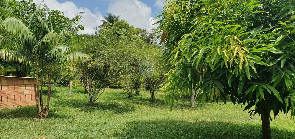 Sítio, 25 hectares - Foto 12