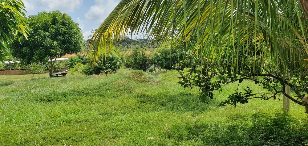 Sítio, 25 hectares - Foto 13