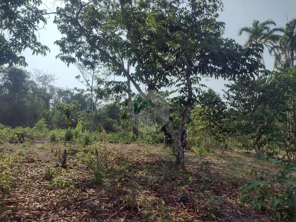 Terreno, 9 hectares - Foto 12