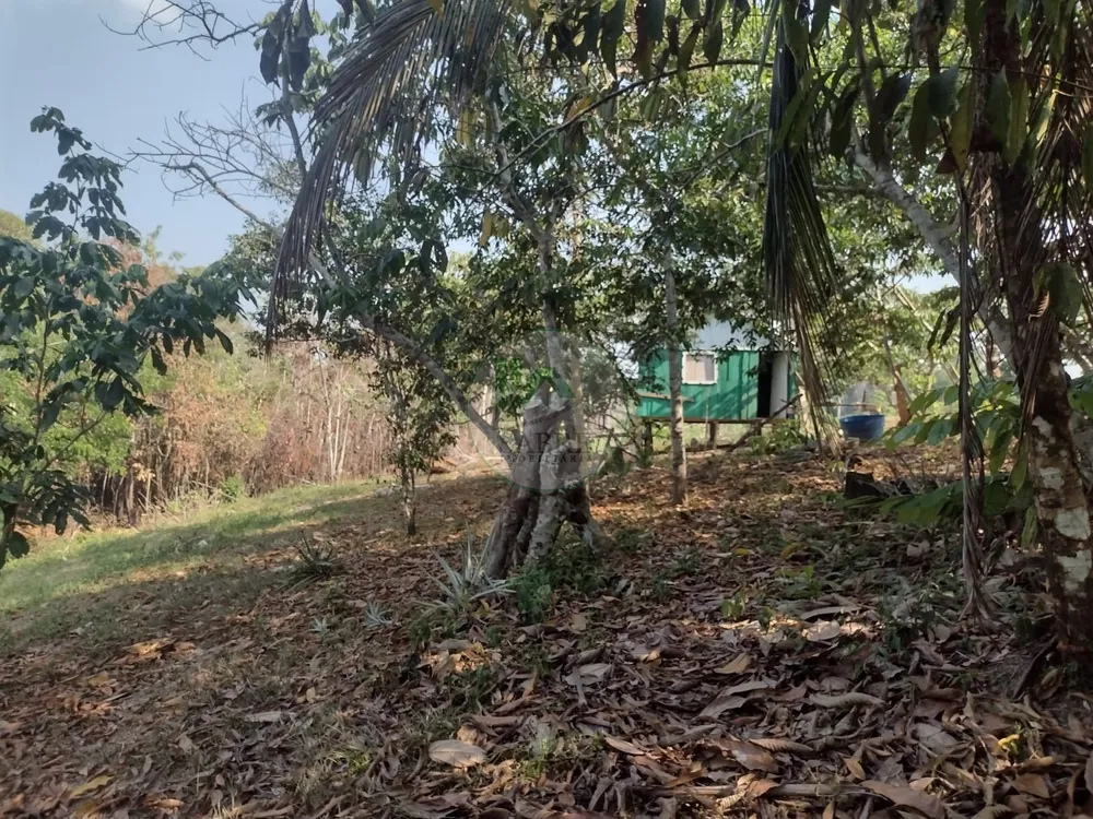 Terreno, 9 hectares - Foto 6