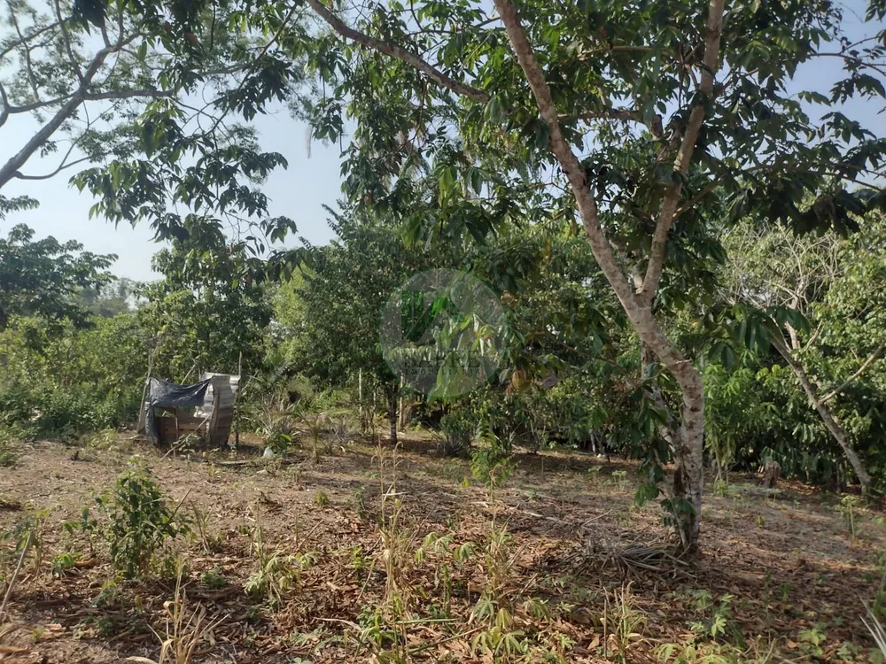 Terreno, 9 hectares - Foto 9