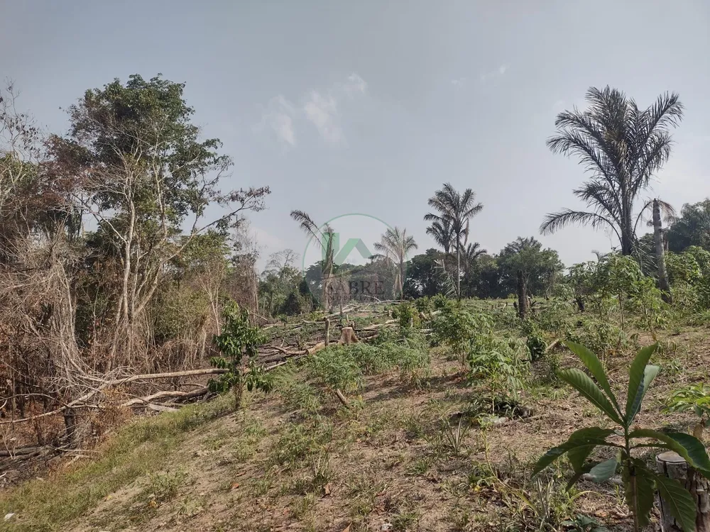 Terreno, 9 hectares - Foto 4