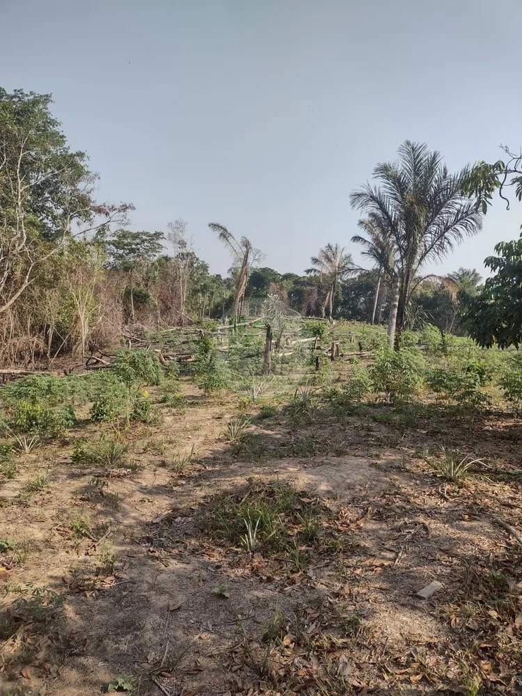 Terreno, 9 hectares - Foto 14