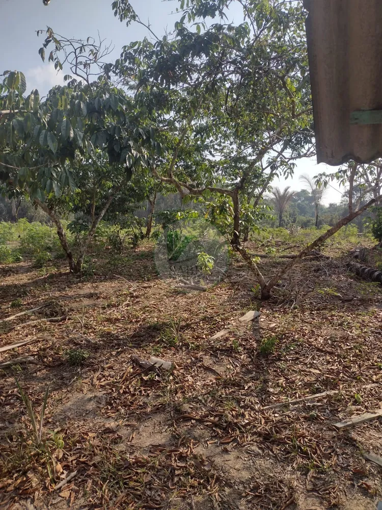 Terreno, 9 hectares - Foto 10