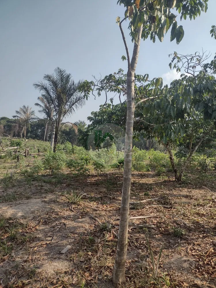 Terreno, 9 hectares - Foto 13