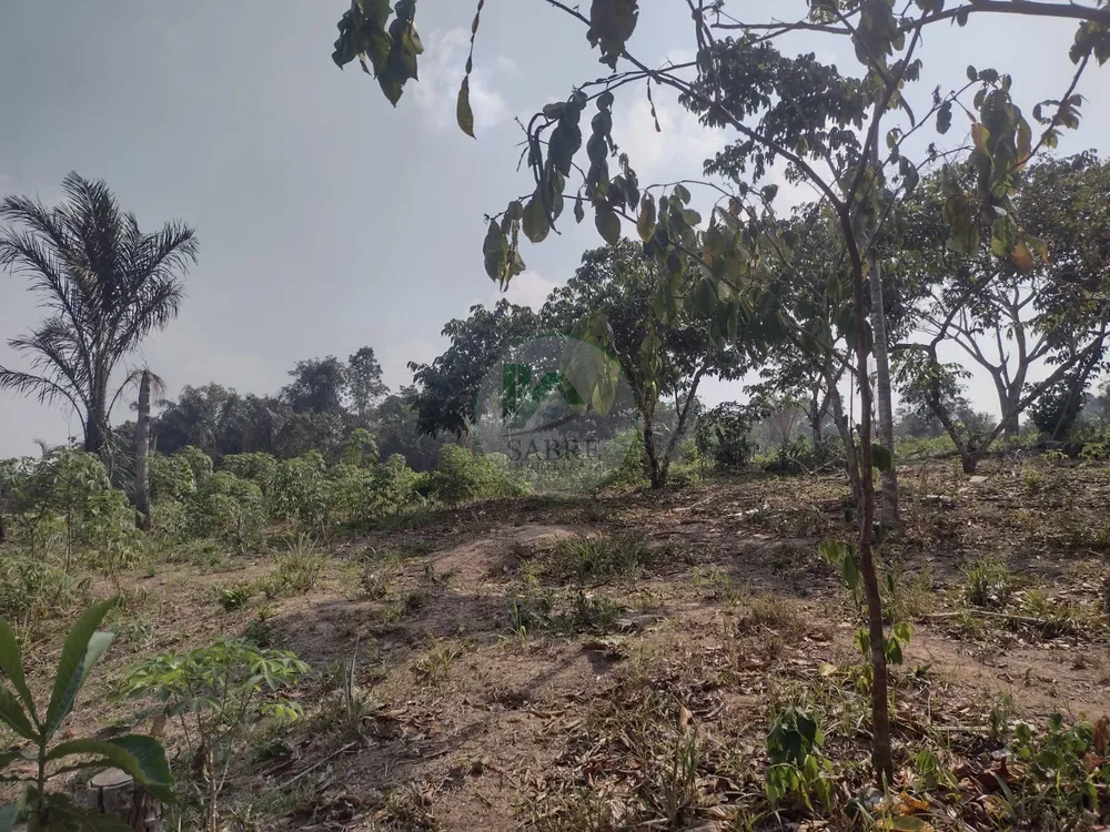 Terreno, 9 hectares - Foto 3