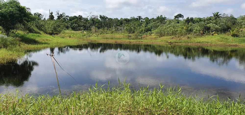 Fazenda à venda, 250000m² - Foto 3