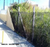 Terreno, 2371 m² - Foto 3