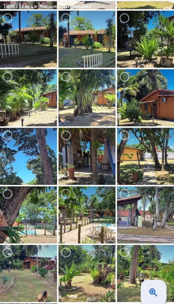 Chácara, 5 quartos - Foto 12