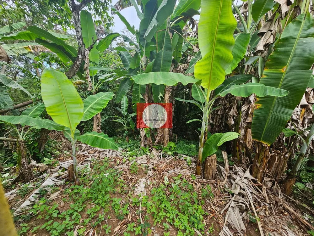 Terreno, 8220 m² - Foto 4