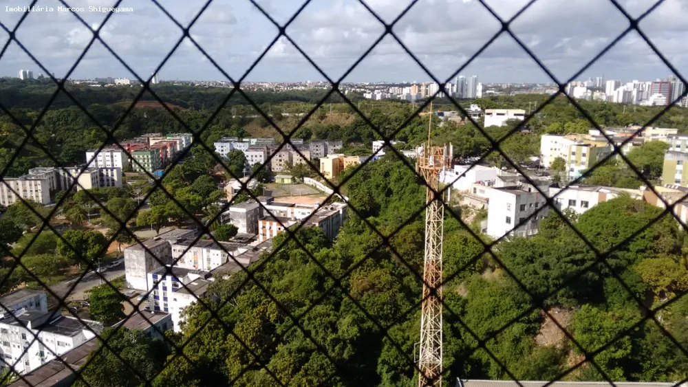 Apartamento, 3 quartos, 81 m² - Foto 6