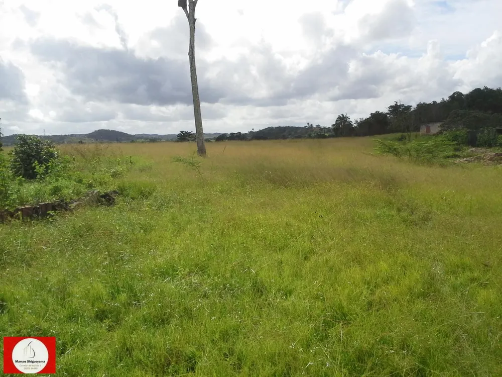 Fazenda, 48 hectares - Foto 1