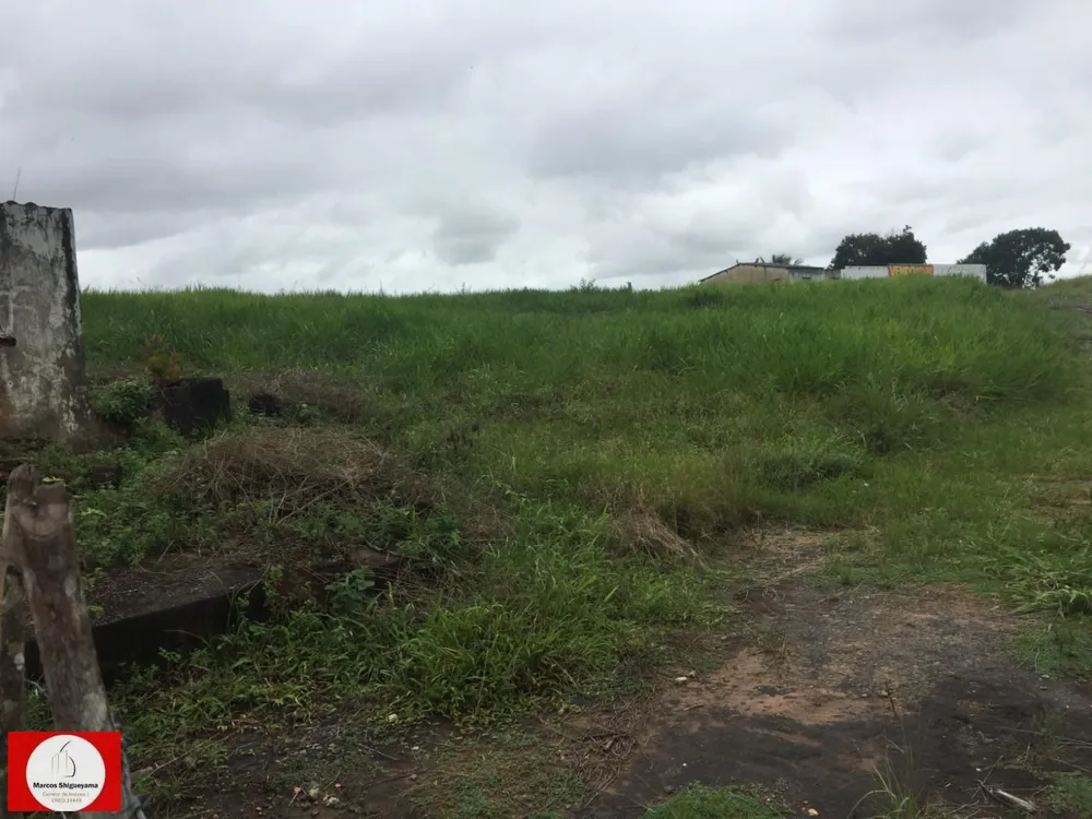 Fazenda, 48 hectares - Foto 5