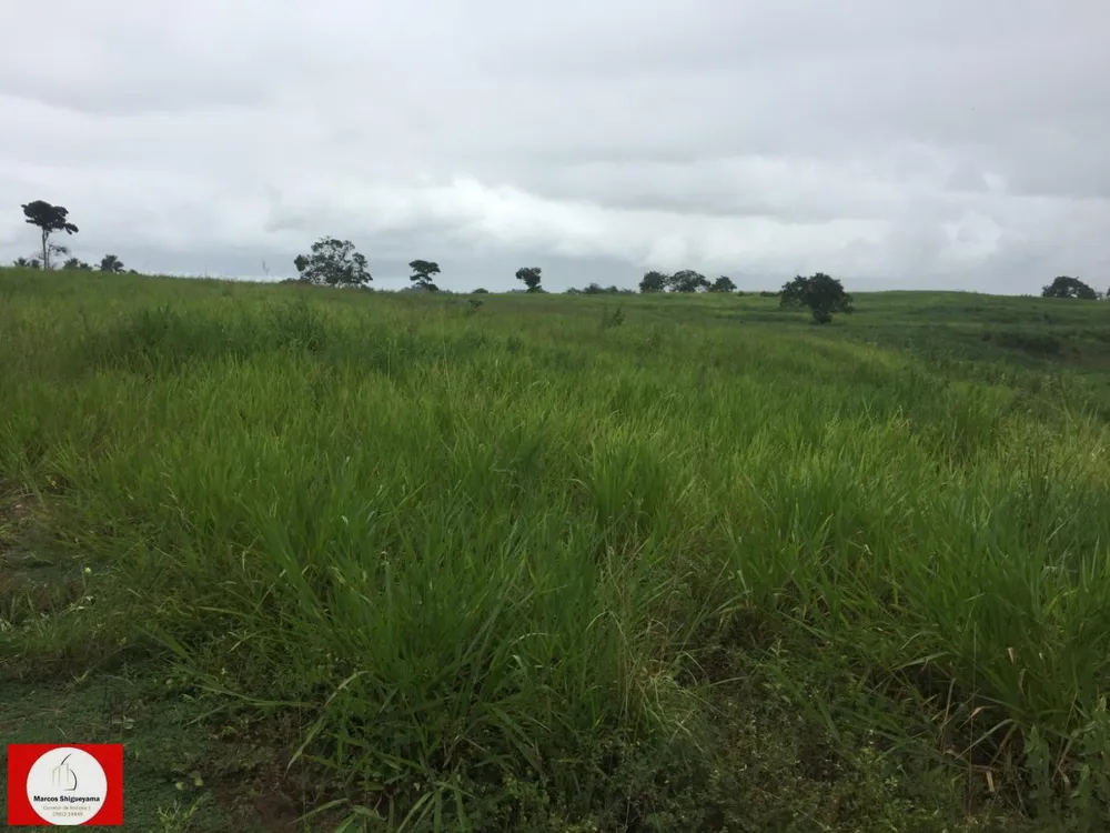 Fazenda, 48 hectares - Foto 6
