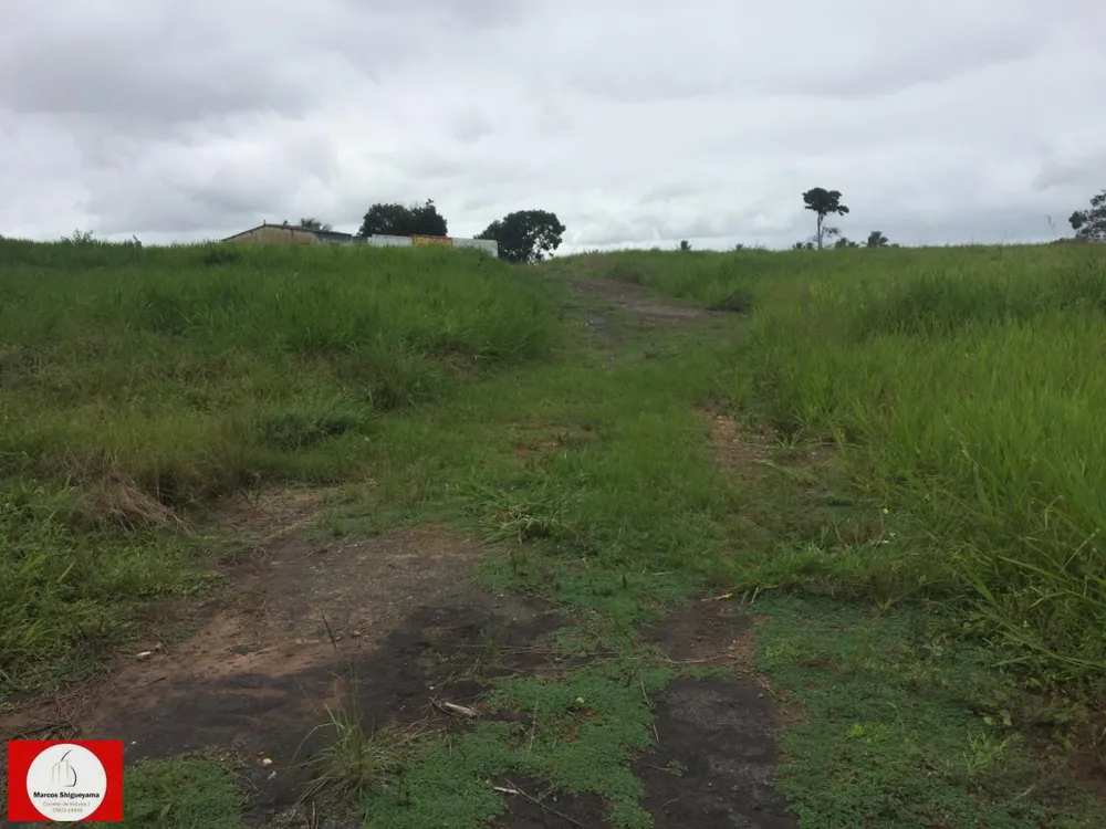 Fazenda, 48 hectares - Foto 7