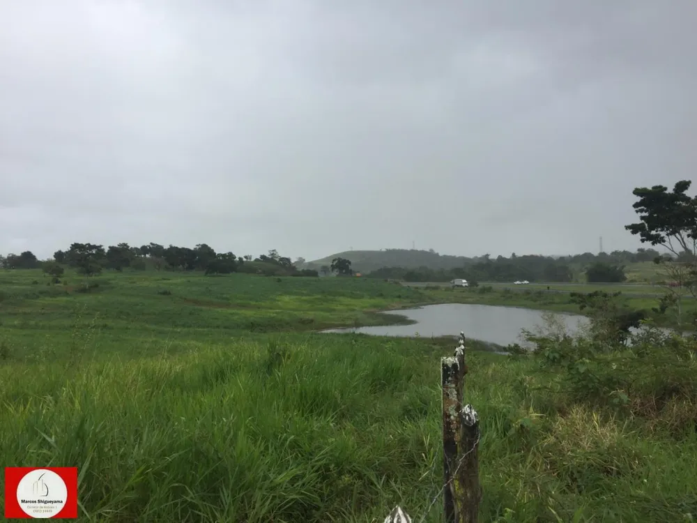 Fazenda, 48 hectares - Foto 2