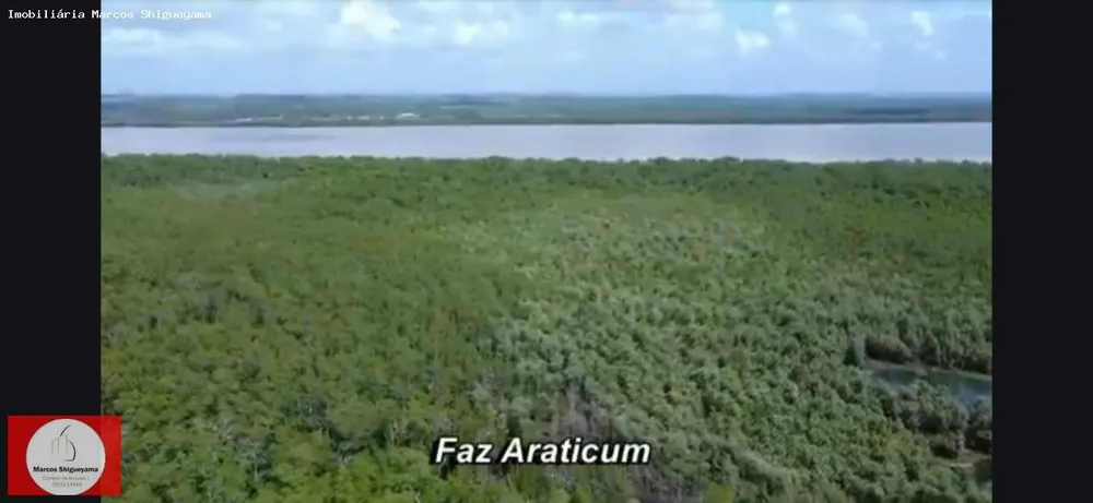 Fazenda, 40 hectares - Foto 6