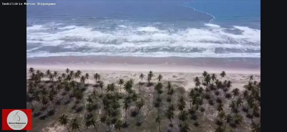 Fazenda, 40 hectares - Foto 11