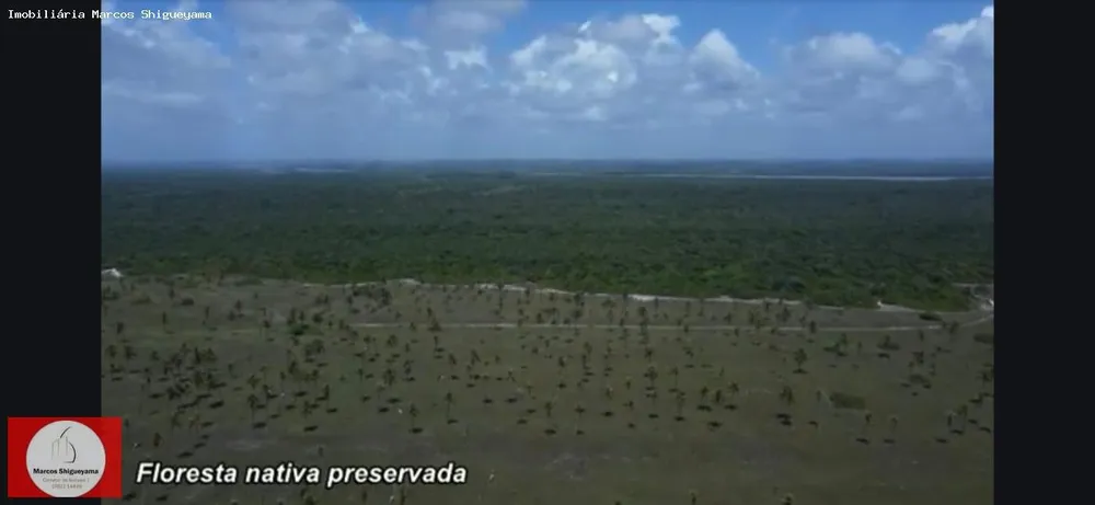 Fazenda, 40 hectares - Foto 8