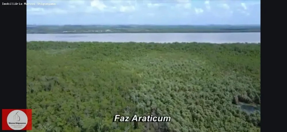 Fazenda, 40 hectares - Foto 4