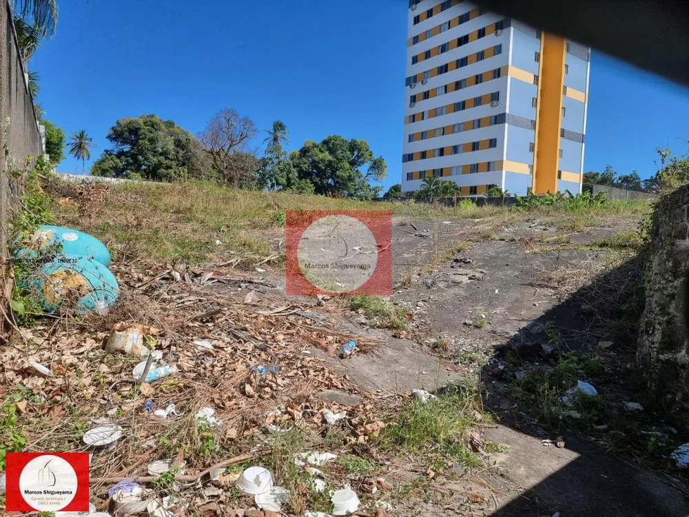 Terreno, 3200 m² - Foto 3