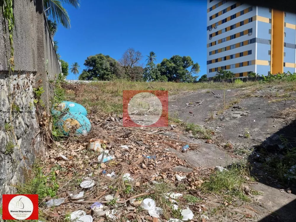 Terreno, 3200 m² - Foto 2